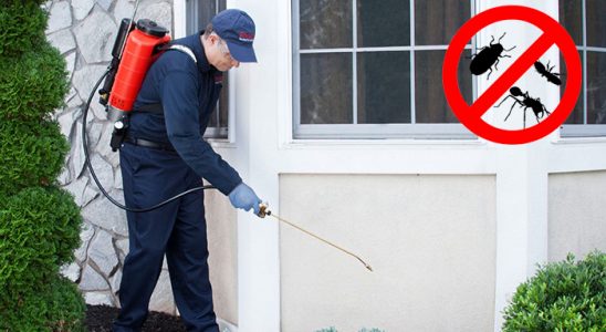 Karabağlar Karınca İlaçlama böcek ilaçlama ve haşere kontrolü — ilaclama-tr.com